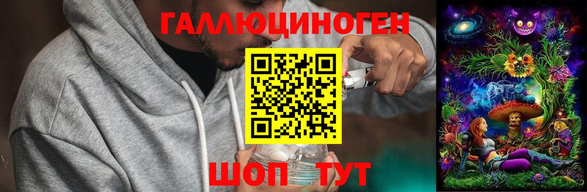 Галлюциногенные грибы Psilocybine cubensis  Псилоцибиновые грибы прущие грибы  Краснодар  Вход с VPN 