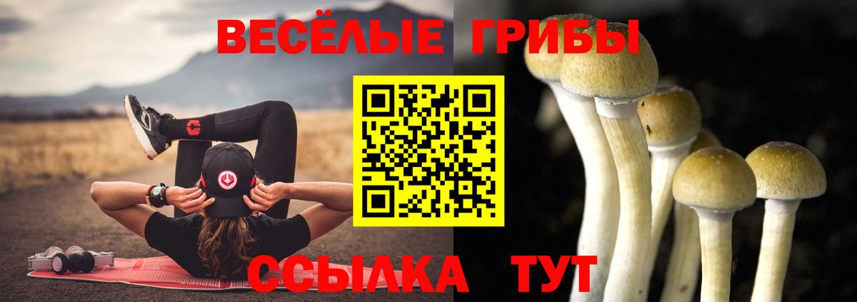 Псилоцибиновые грибы Magic Shrooms Краснодар